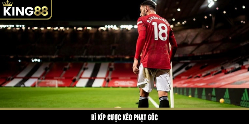 Các bí kíp trên sẽ giúp bạn cược góc hiệu quả hơn