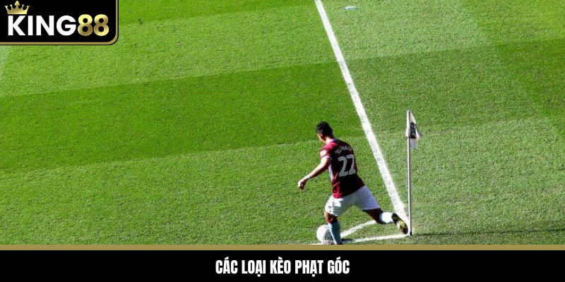 Người chơi có nhiều lựa chọn cược góc đa dạng