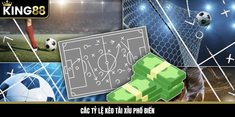 Có nhiều mốc tài xỉu khác nhau được đưa ra bởi nhà cái