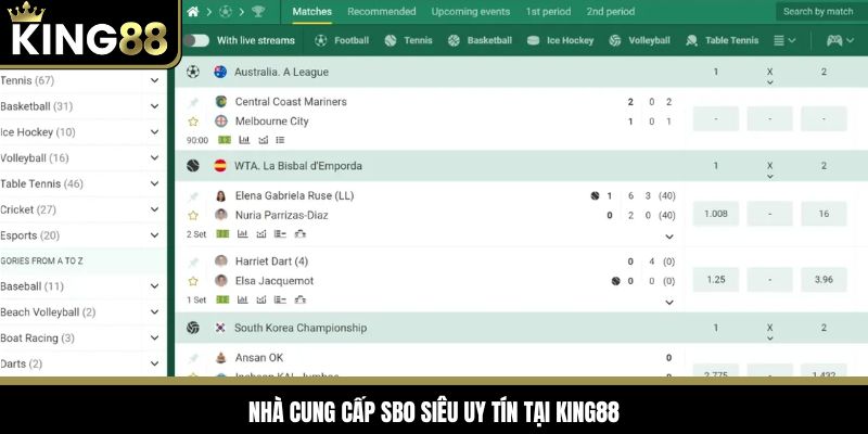 Nhà cung cấp siêu uy tín SBO tại Sports King88